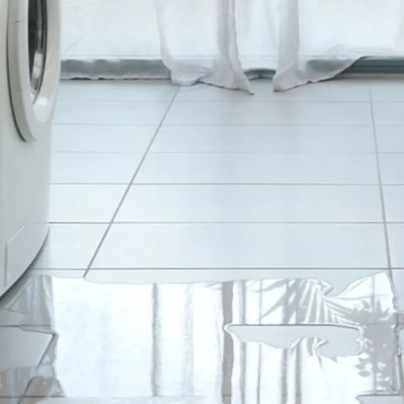 Appliance Leak Cleanup in Brooksville, FL
