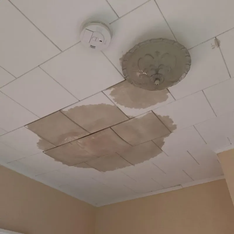 Ceiling Water Damage Repair in Brooksville, FL